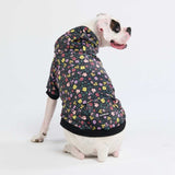 Vintage Flower Hoodie pour Chien - Noir