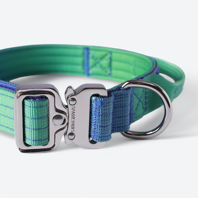 Conjunto de collar táctico para perros - Lime Wave