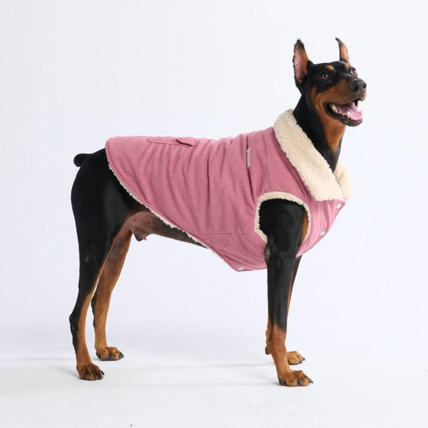 Chaqueta de Corderoy con Sherpa - Rosa