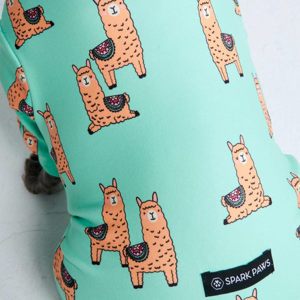 Pijama para Perro - Lazy Llama - Turquesa