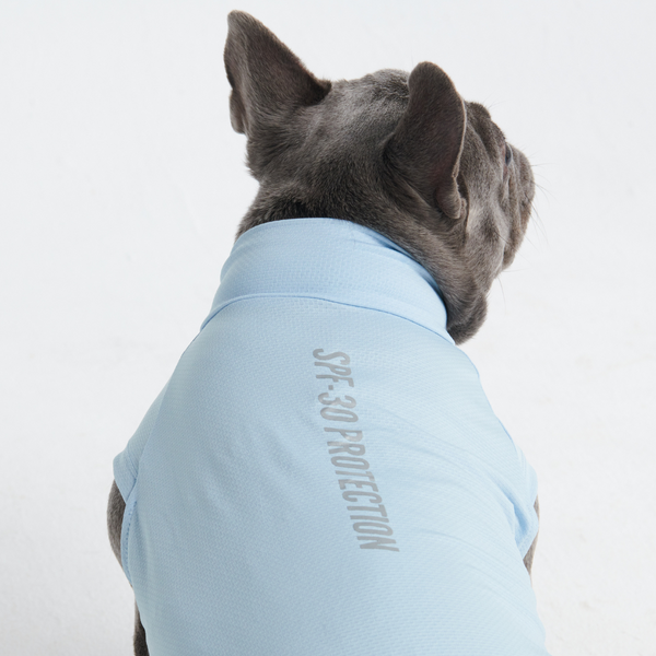 T-shirt pour chien avec écran solaire - Bleu