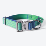 Conjunto de collar táctico para perros - Lime Wave