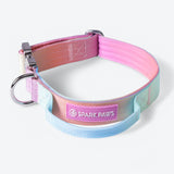 Conjunto de collar táctico para perros - Pastel Icing