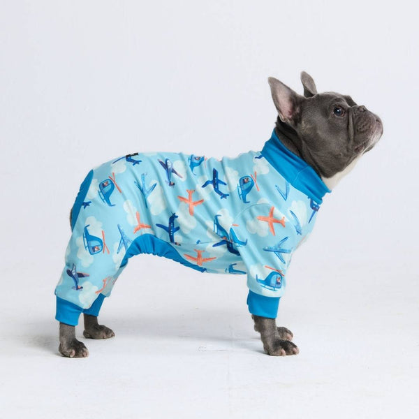 Dog Pajama - Airplanes