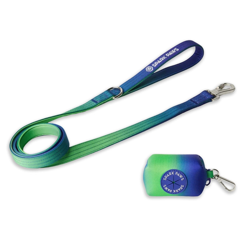 Leash and Poop Bag Holder Set - Lime Wave