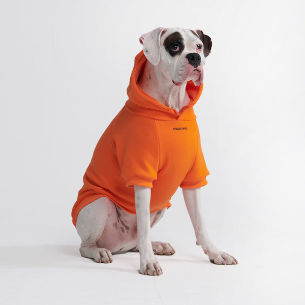 Sudadera con capucha para perro Essential - Naranja