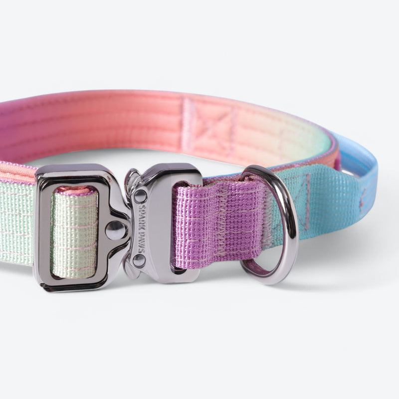 Conjunto de collar táctico para perros - Pastel Icing