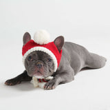 Bonnet en tricot pour chien avec pompon - Père Noël