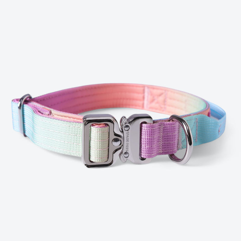 Pastel Icing Collar