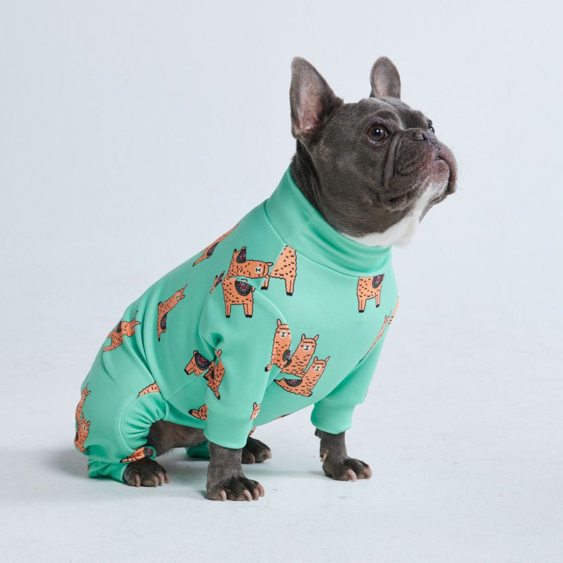 犬用パジャマ - 怠惰なラマ - ターコイズ