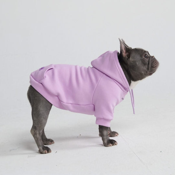 Essential Dog Hoodie - Orchid Purple