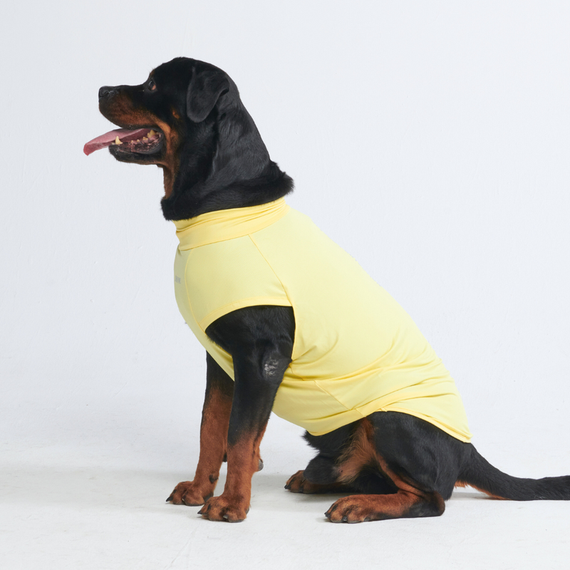 T-shirt pour chien avec écran solaire - Jaune