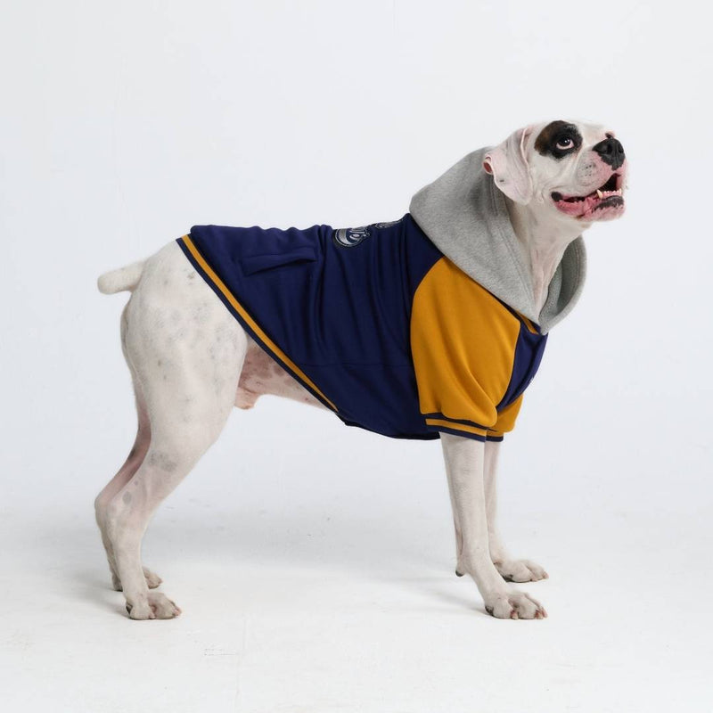 Collegejacke für Hunde– Blaugelb