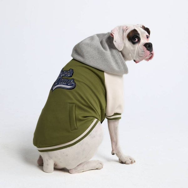 Dog Varsity Jacket - Groen