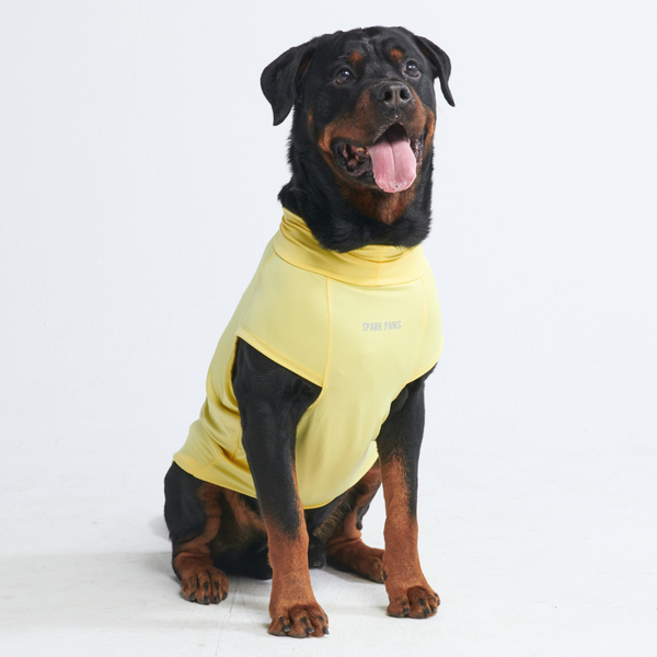 T-shirt pour chien avec écran solaire - Jaune