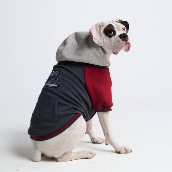 Dog Varsity Jacket - Grijs Rood