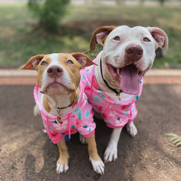 Blossom Sudadera para Perro - Rosa