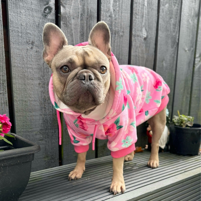 Blossom Hoodie pour Chien - Rose