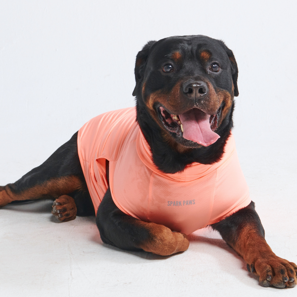 Sunblock Dog T-Shirt - Peach