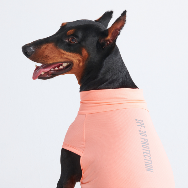 Camiseta para perro con bloqueador solar - Melocotón