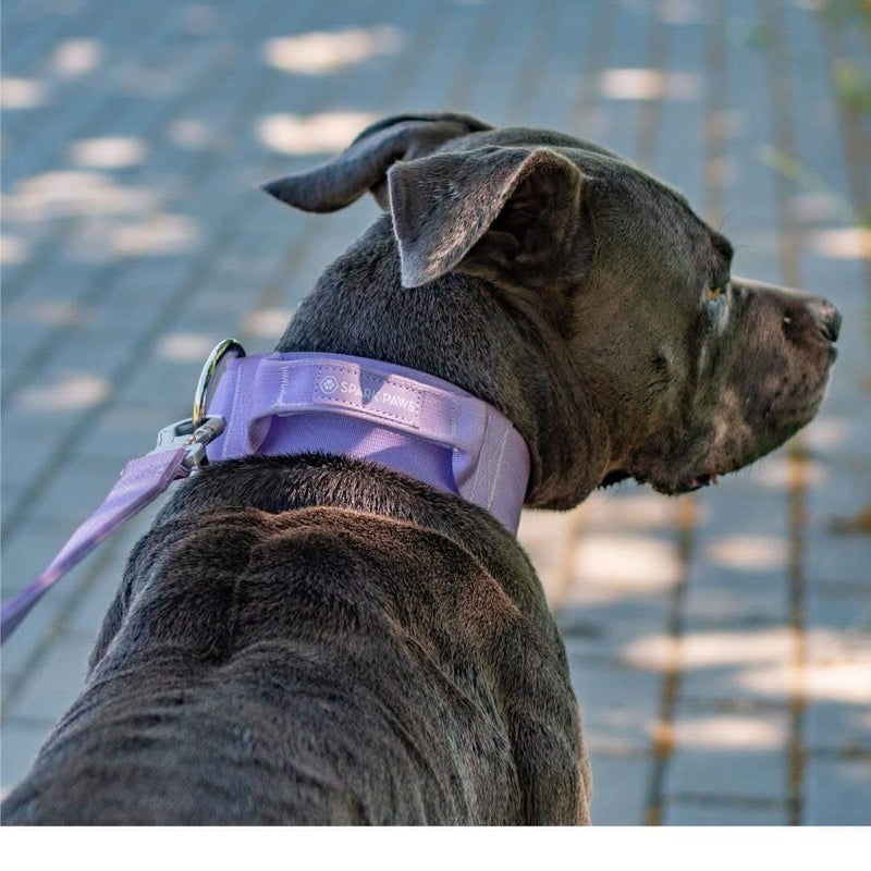 Lilac Collar