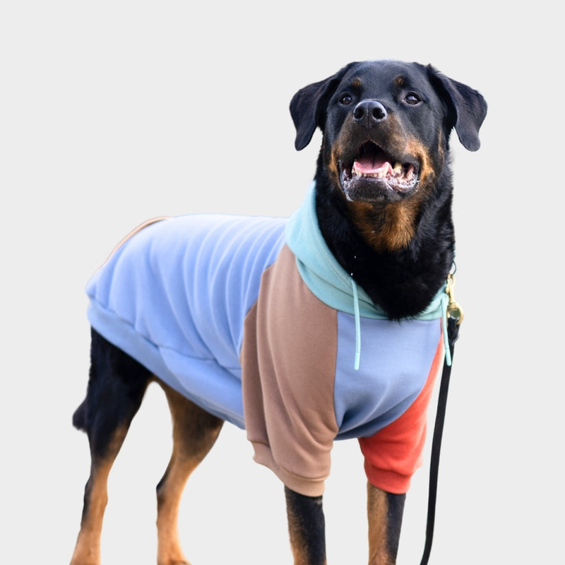 Alpine Dog Hoodie