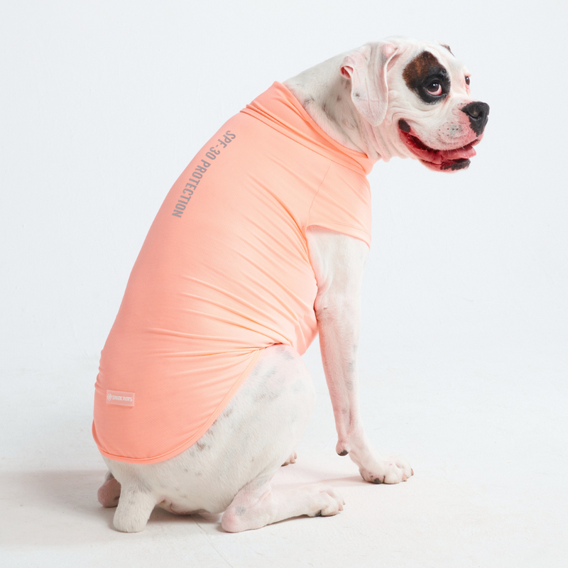 T-shirt pour chien avec écran solaire - Pêche