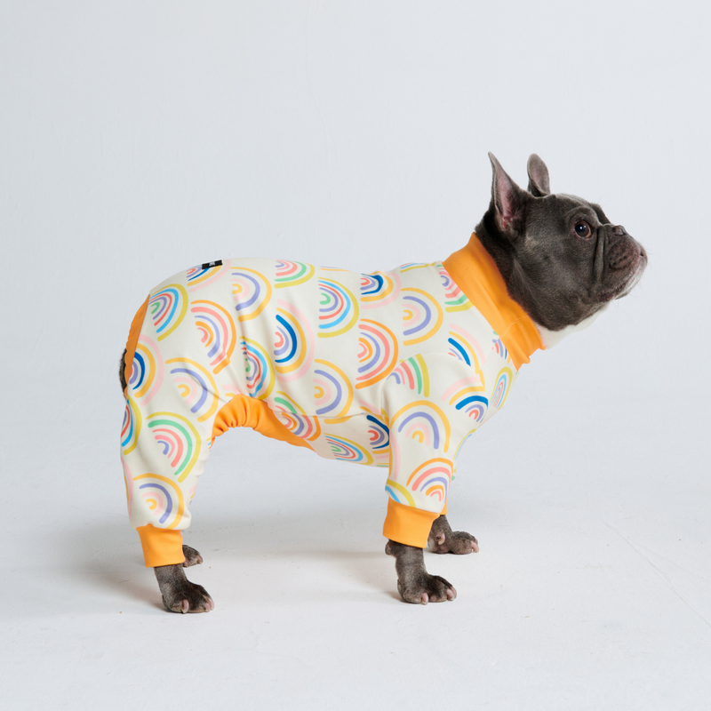 Dog Pajama - Rainbows