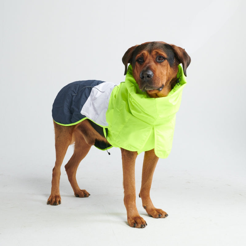 ブレスシールド™ 犬用レインコート - ライム ホワイト ネイビー