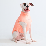 Camiseta para perro con bloqueador solar - Melocotón