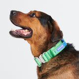 Collar táctico para perros - Lime Wave