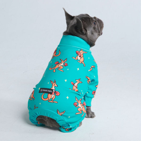 Dog Pajama - Boxing Kangaroo - Blue