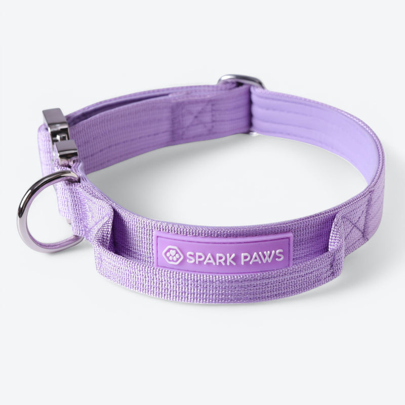 Collar Táctico para Perro - Lila