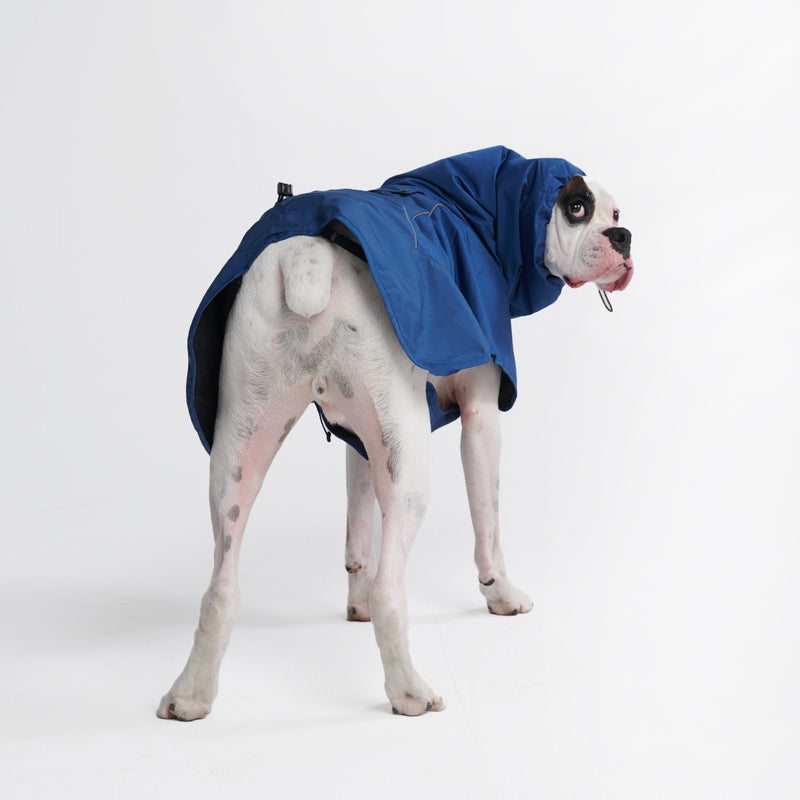 ブレスシールド™ 犬用レインコート - ロイヤルブルー