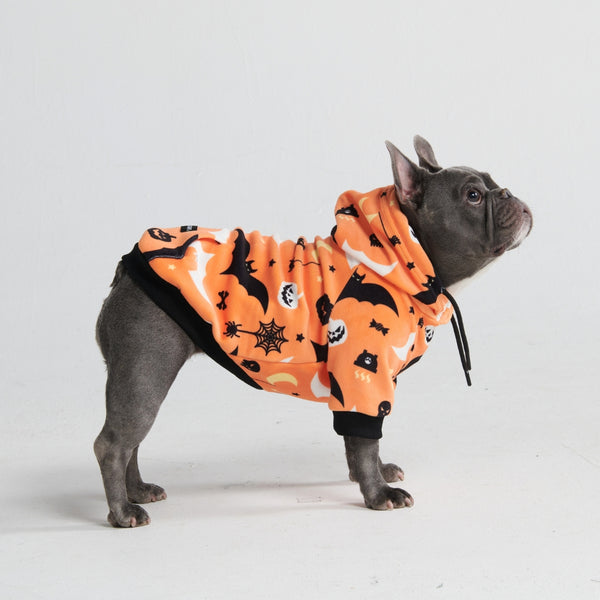 Halloween Dog Hoodie (Limited Edition)