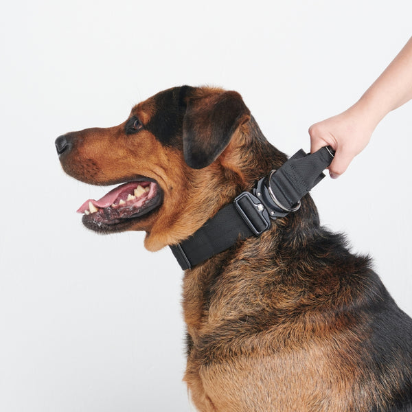 戦術的な犬用首輪 - ブラック