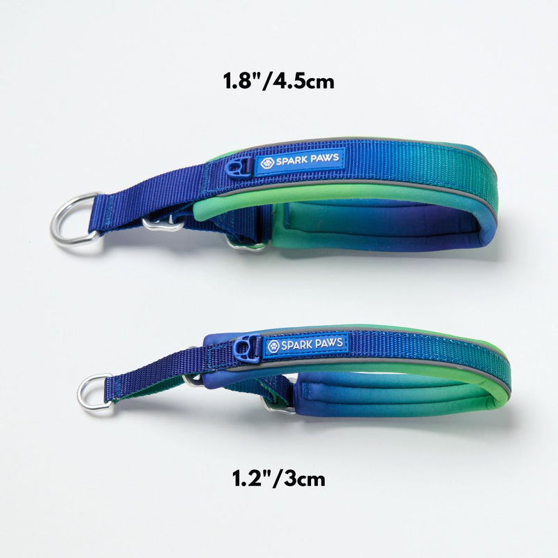 マーチンゲール首輪 – ライムウェーブ