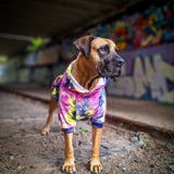 Sudadera de Terciopelo para Perros - Limonada de Baya