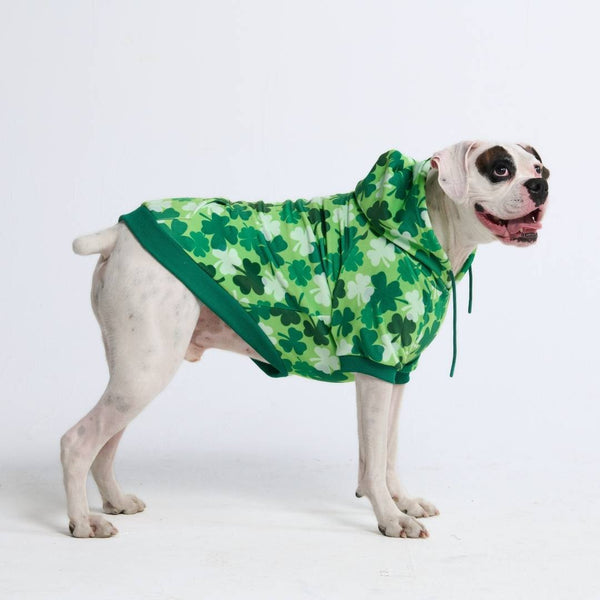 Sweat à capuche pour chien St. Patty's - Trèfles