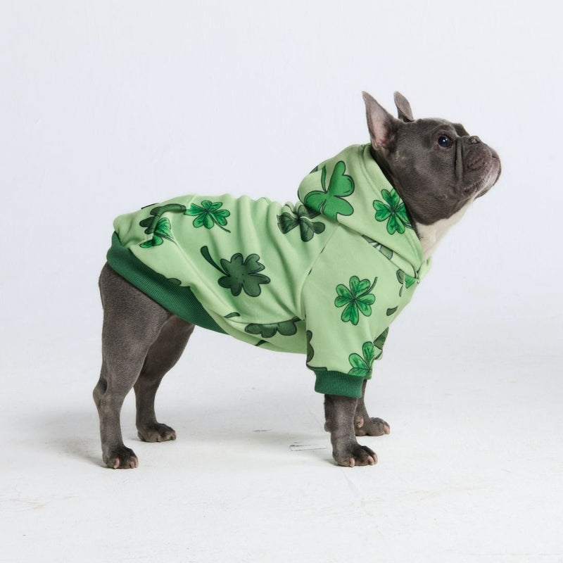 Sweat à capuche pour chien St. Patty's - Vert clair