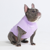 T-shirt pour chien avec écran solaire - Violet