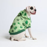 Sweat à capuche pour chien St. Patty's - Vert clair