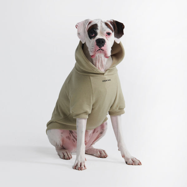  Sudadera con capucha para perro Essential - Verde