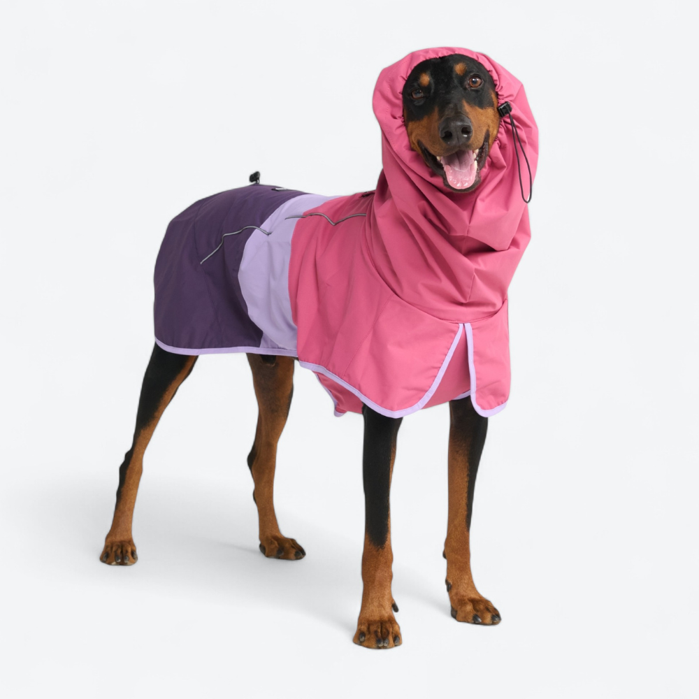 スパークパウズ犬の服、チェーン、首輪、その他 – SPARK PAWS