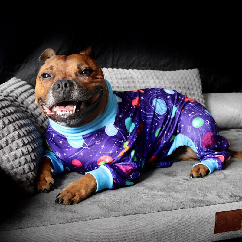 Dog Pajama - Planets