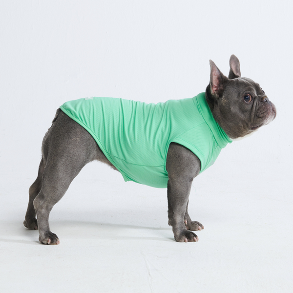 Camiseta para perro con bloqueador solar - Menta