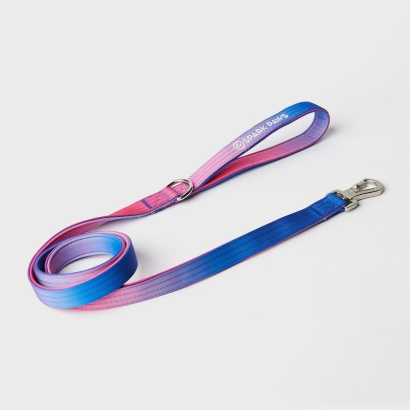 Snow Cone Neoprene Leash