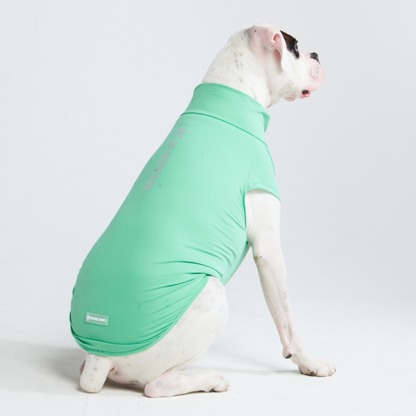 Sunblock Dog T-Shirt - Mint