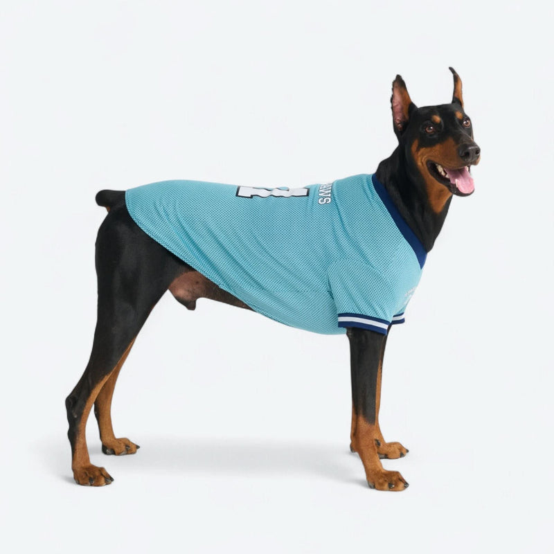 Maglia da calcio in rete - Blu