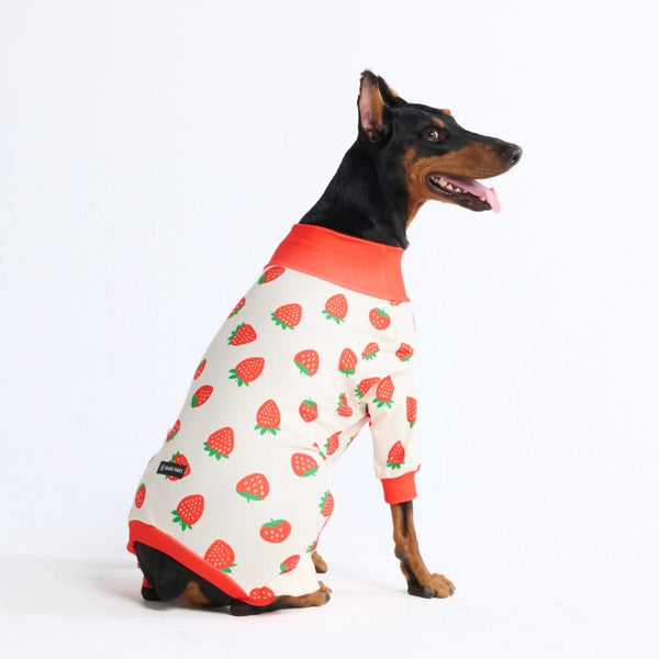 Dog Pajama - Strawberries